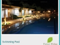 forest-ridge-swimming-pool