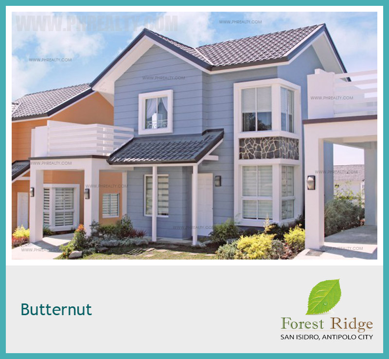 Forest Ridge Butternut