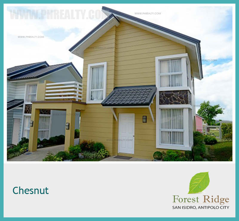 Forest Ridge Chesnut