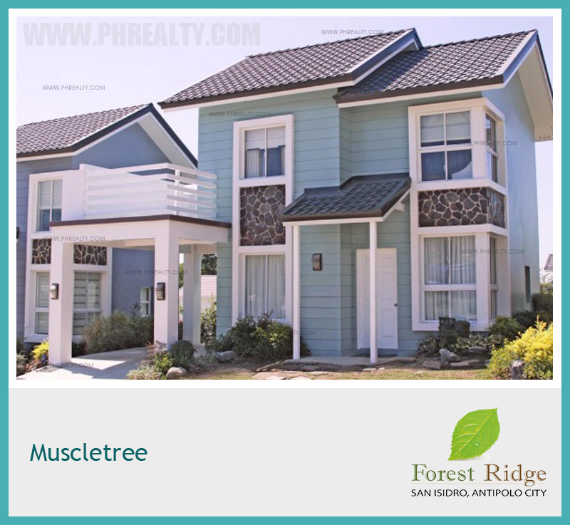 Forest Ridge Muscletree