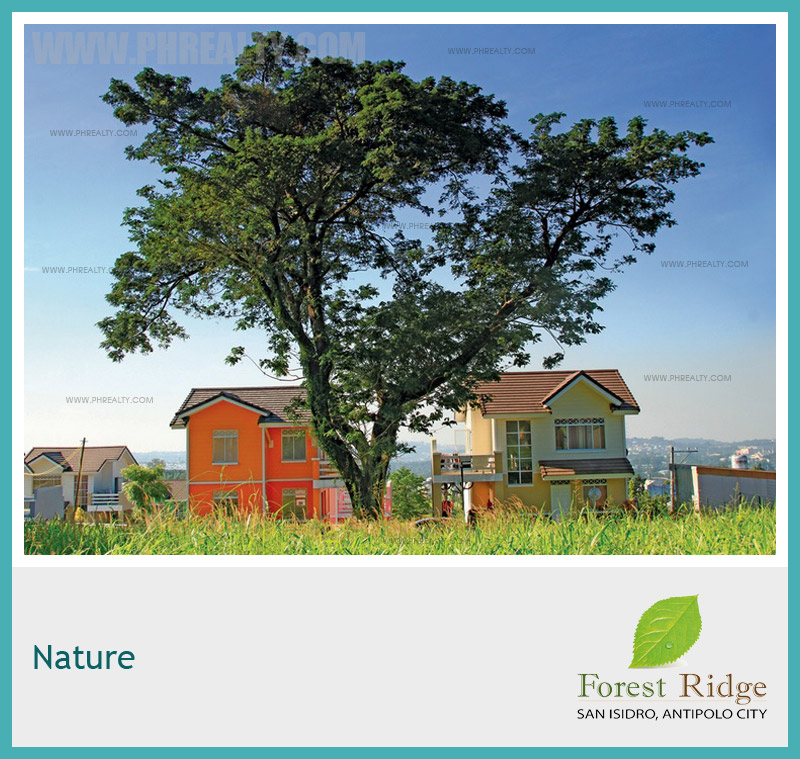 Forest Ridge Nature