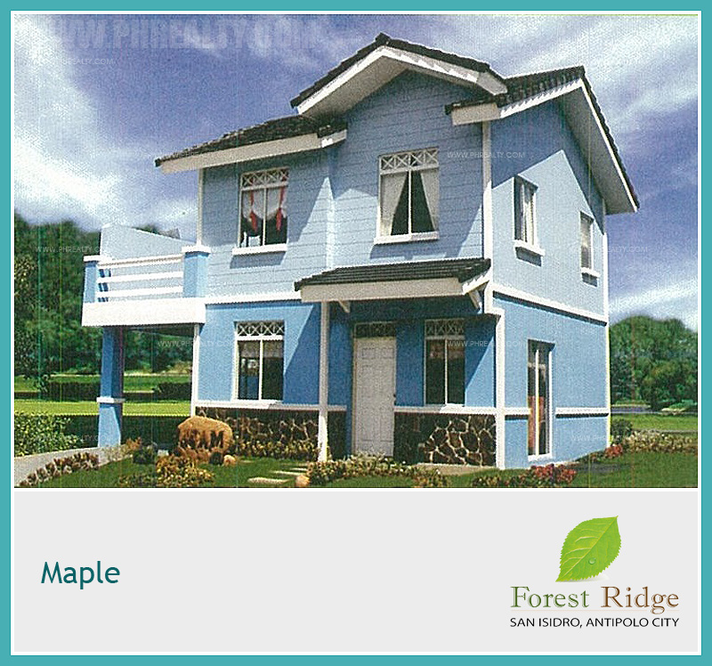 Forest Ridge Maple