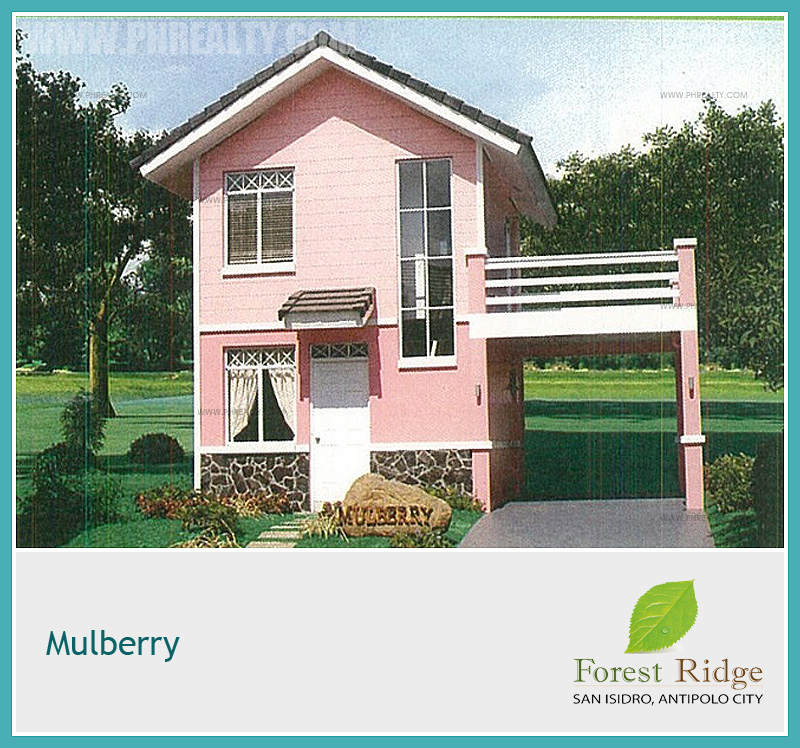 Forest Ridge Mulberry