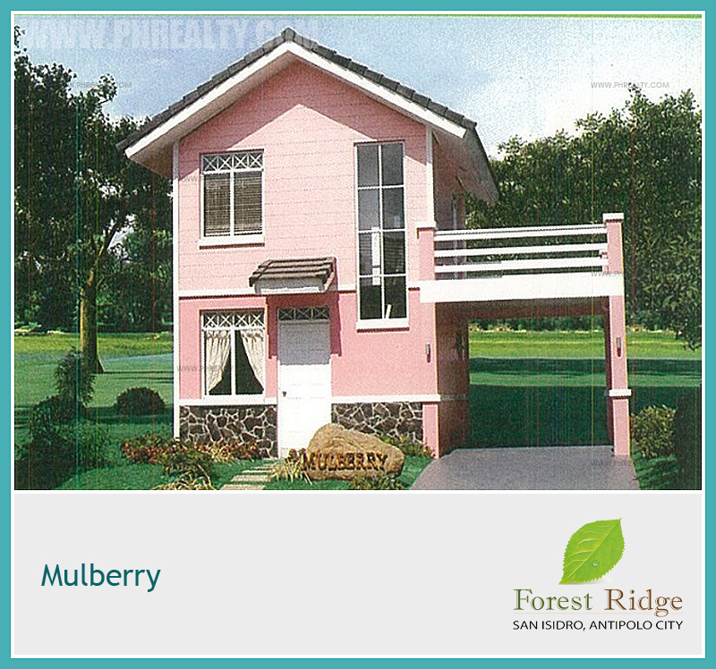 Forest Ridge Mulberry Forest Ridge Mulberry