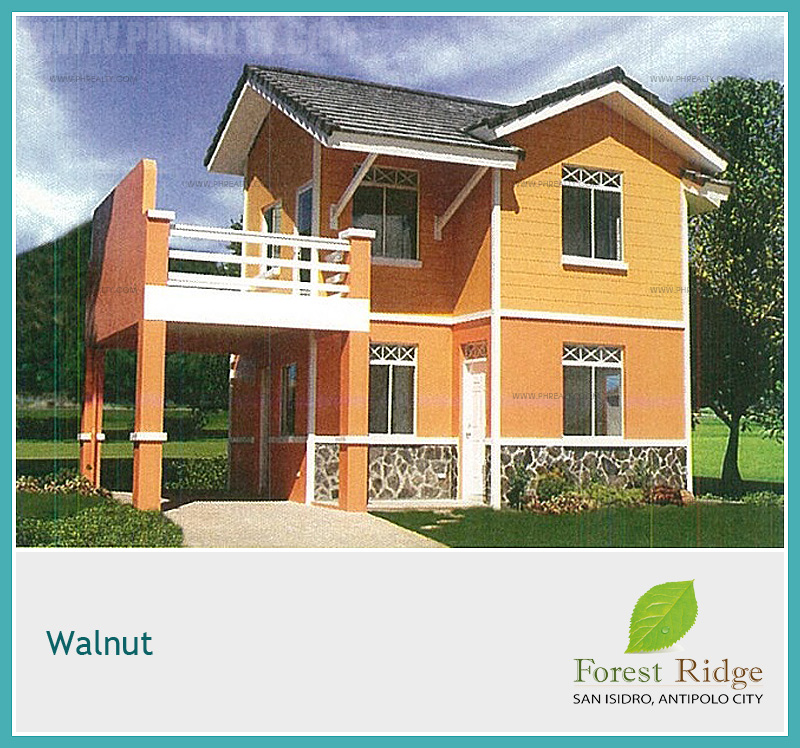 Forest Ridge Walnut